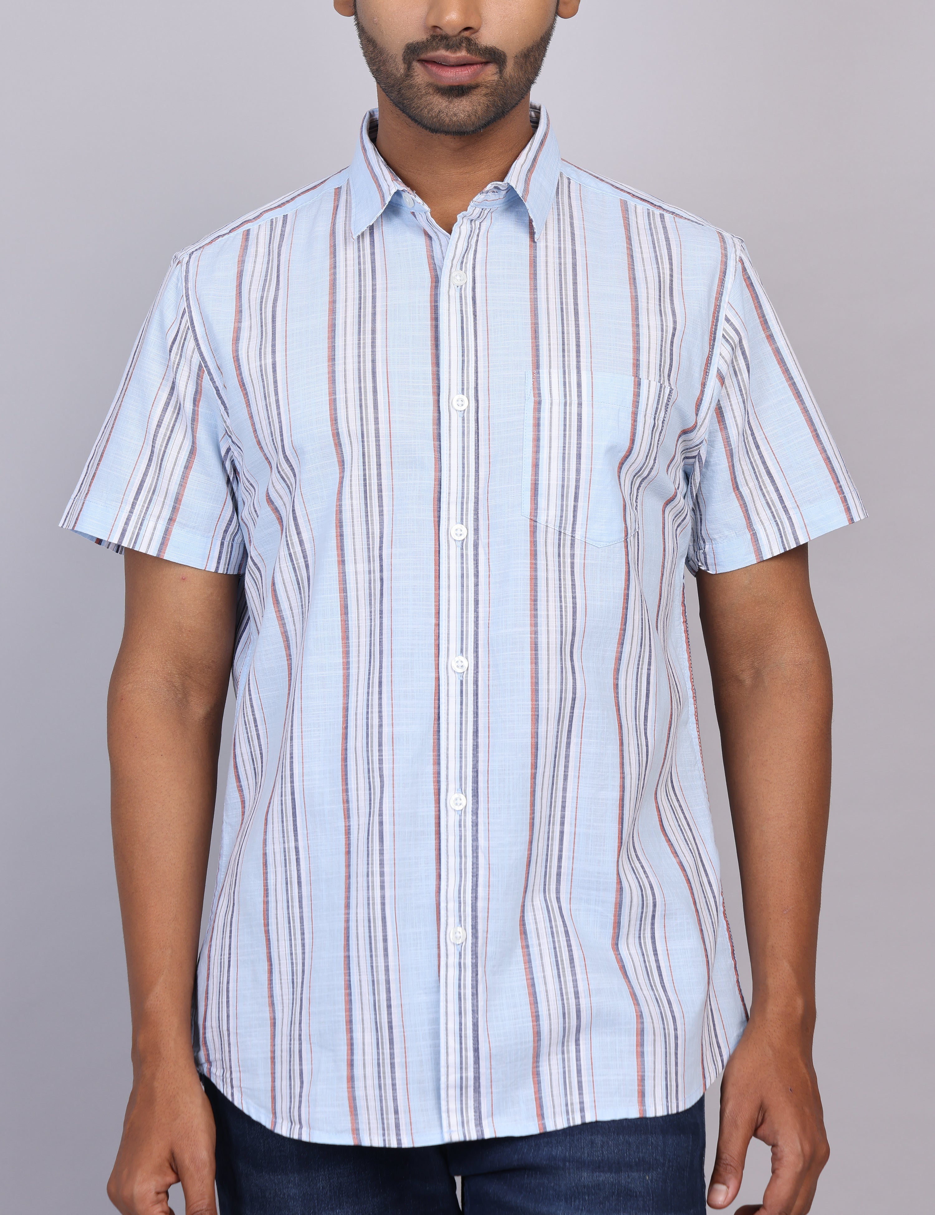 Blue Stripe Half Sleeve Shirt – Regular Fit